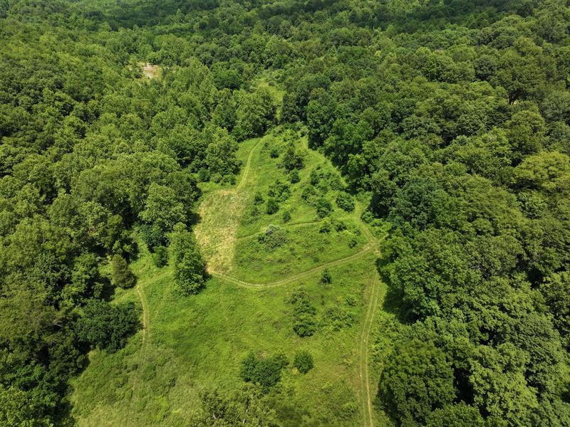 5055 Tract C Early Ridge , McConnelsville, OH 43756 Photo 4