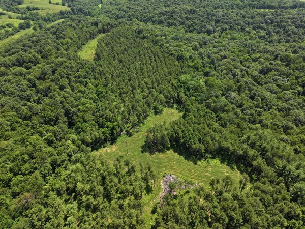 0 Tract D E. Reinersville Road , Mcconnelsville, OH 43756