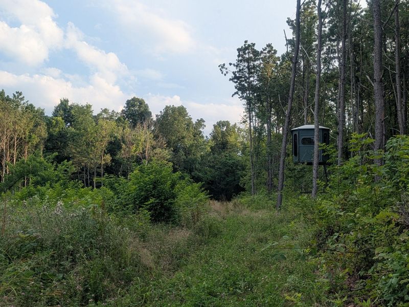 0 Tract D E. Reinersville Road , McConnelsville, OH 43756 Photo 11