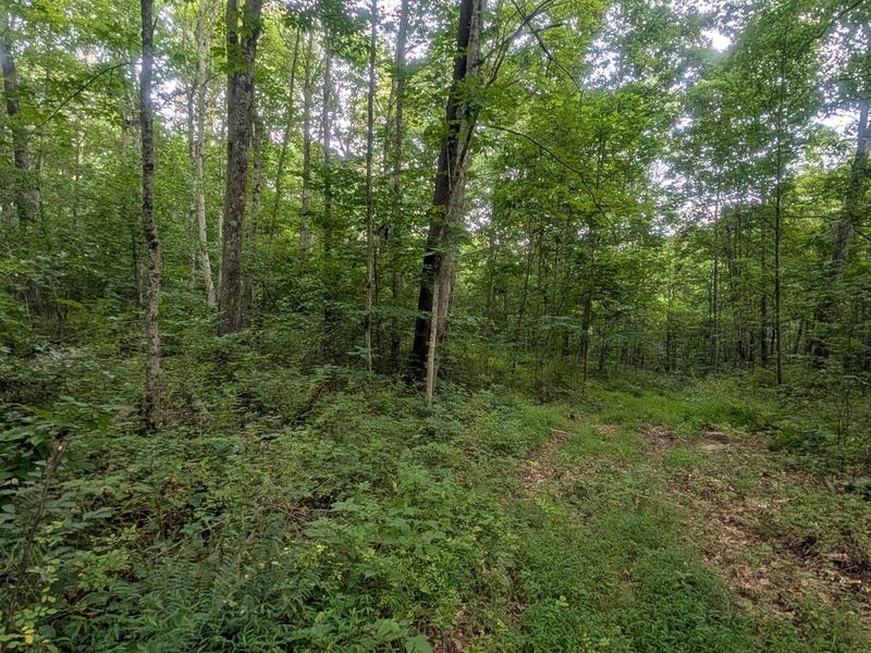 0 Tract D E. Reinersville Road , McConnelsville, OH 43756 Photo 12