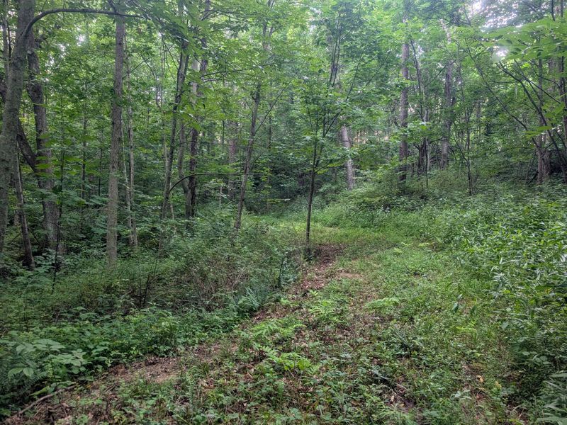 0 Tract D E. Reinersville Road , McConnelsville, OH 43756 Photo 14