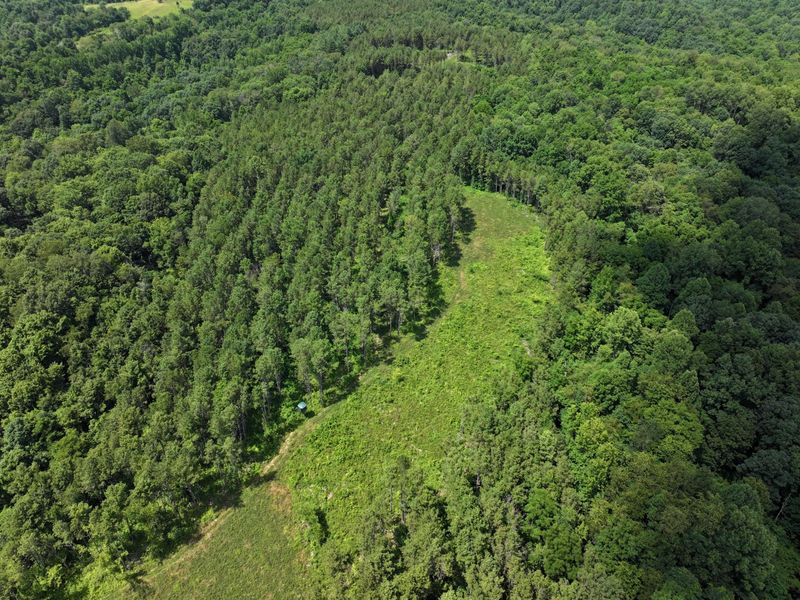 0 Tract D E. Reinersville Road , McConnelsville, OH 43756 Photo 5