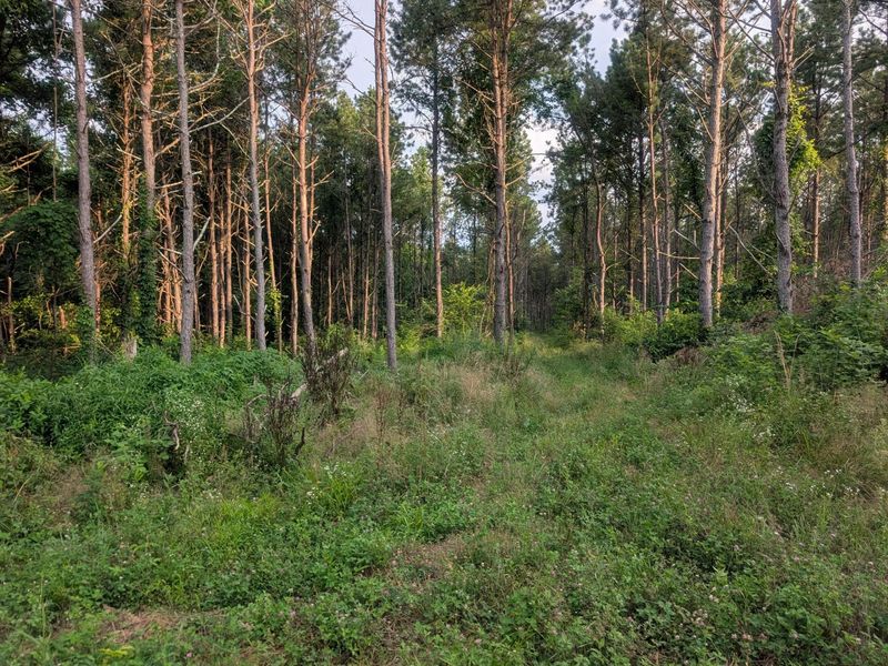 0 Tract D E. Reinersville Road , McConnelsville, OH 43756 Photo 8