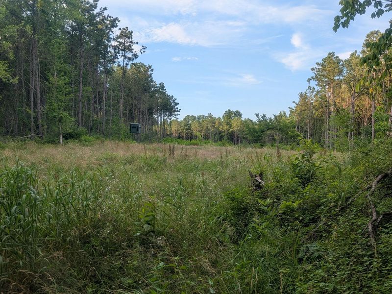 0 Tract D E. Reinersville Road , McConnelsville, OH 43756 Photo 9