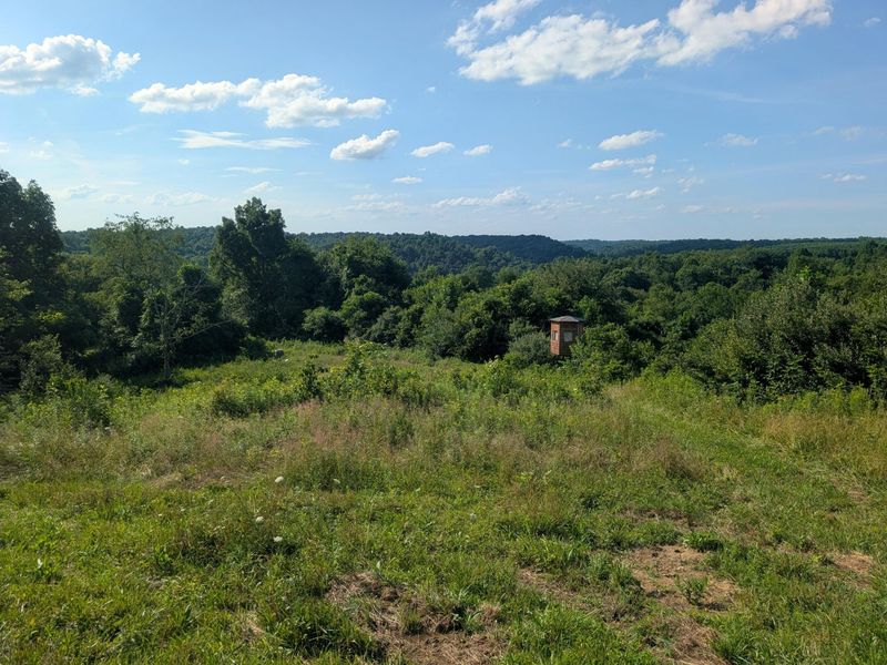 5055 Early Ridge , McConnelsville, OH 43756 Photo 19