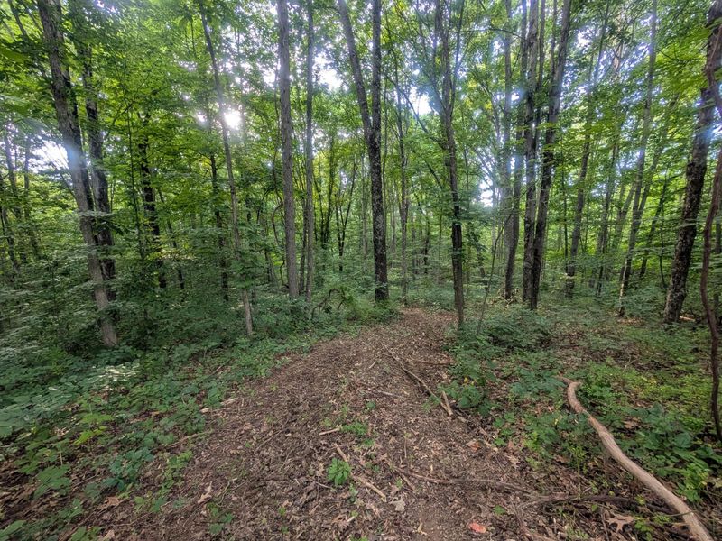 5055 Early Ridge , McConnelsville, OH 43756 Photo 9