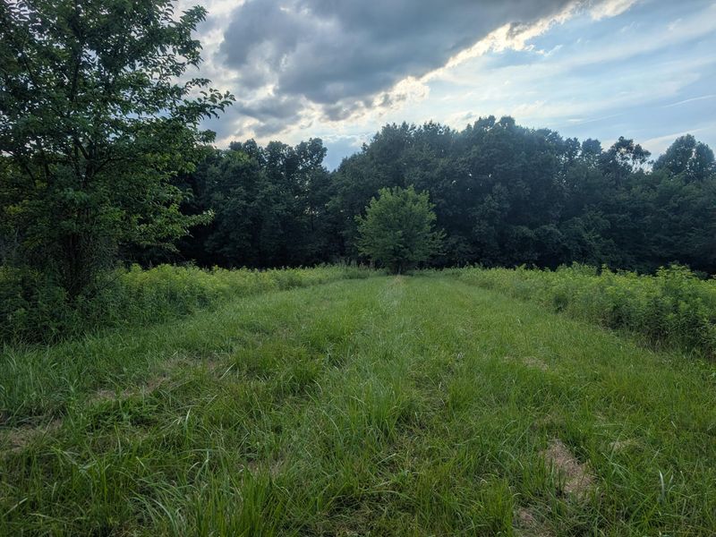 0 Tract B Brownrigg Road , Caldwell, OH 43724 Photo 11