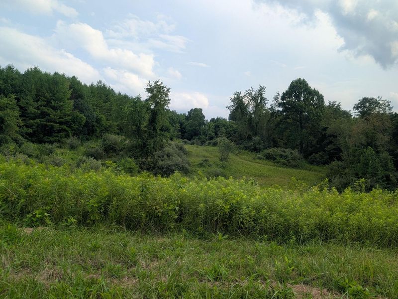 0 Tract B Brownrigg Road , Caldwell, OH 43724 Photo 13