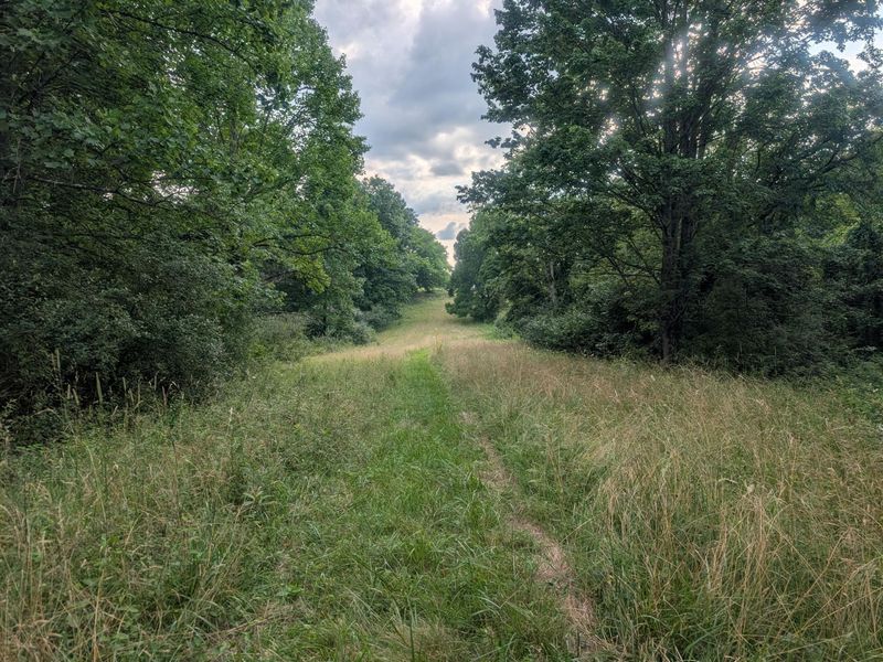 0 Tract B Brownrigg Road , Caldwell, OH 43724 Photo 14