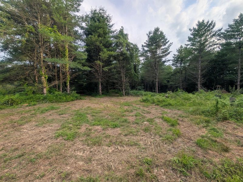 0 Tract B Brownrigg Road , Caldwell, OH 43724 Photo 16