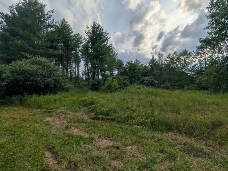 0 Tract B Brownrigg Road , Caldwell, OH 43724 Photo 17