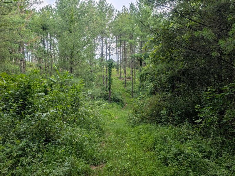 0 Tract B Brownrigg Road , Caldwell, OH 43724 Photo 8