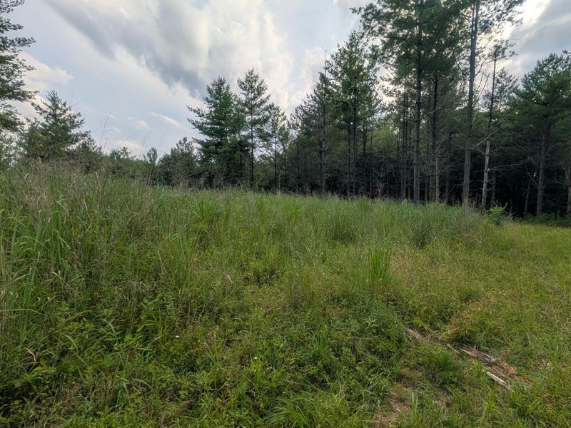 0 Tract B Brownrigg Road , Caldwell, OH 43724 Photo 9