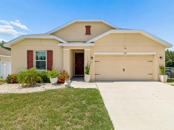 11910 LITTLE VIOLET CIRCLE , RIVERVIEW, FL 33578