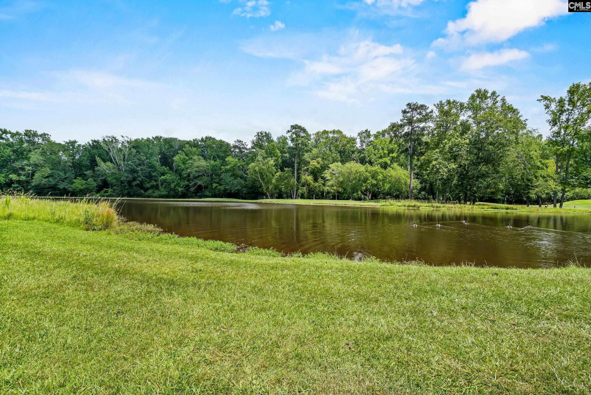 104 Birkdale Court  Photo 49