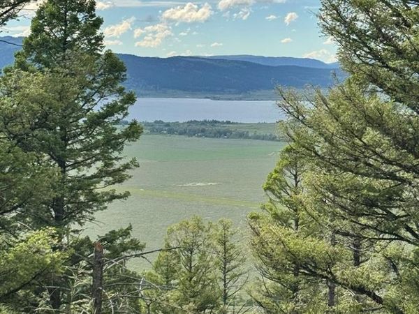 TBD Mountain Drive, ISLAND PARK, ID 83429