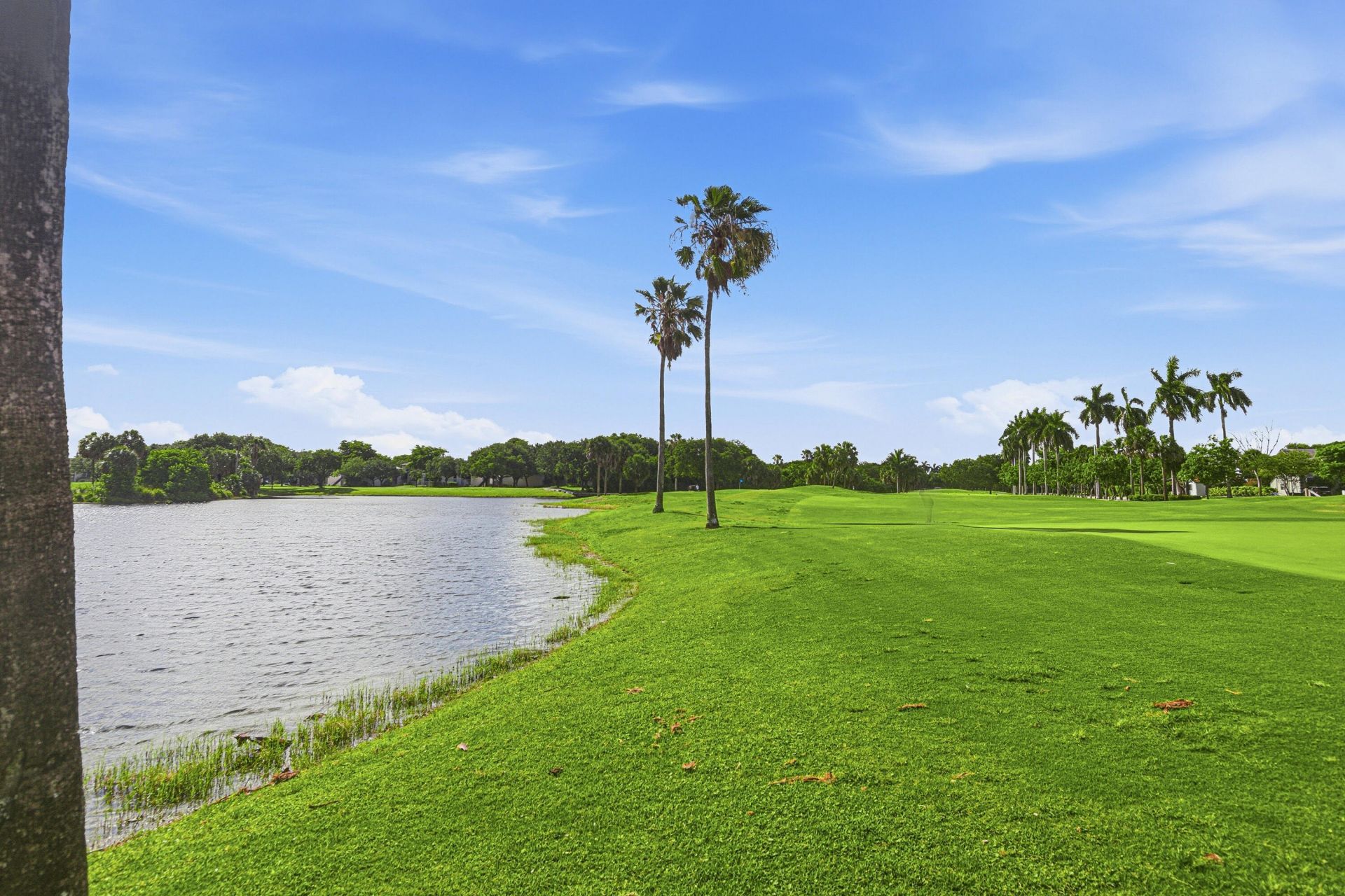 8207 Fairway Road, Unit ., Sunrise, FL 33351 Photo