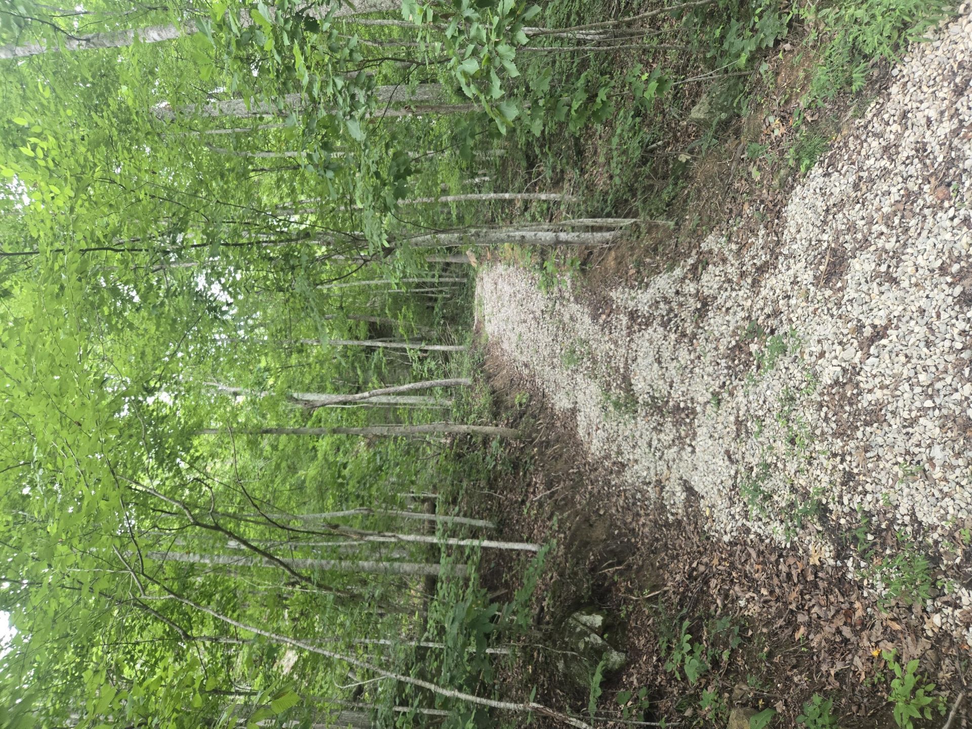 9999 Getaways Road, Lot #Lot 3, Stanton, KY 40380 Main Photo