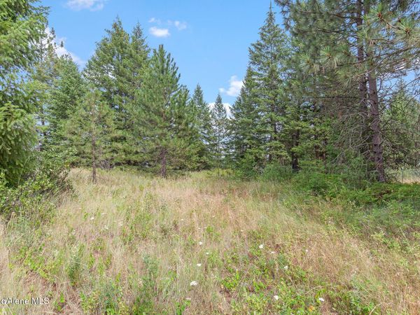NKA E Forest View Rd , Athol, ID 83801