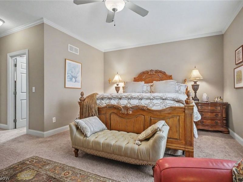 603 Prestwick Court, Columbiana, OH 44408 Photo 20