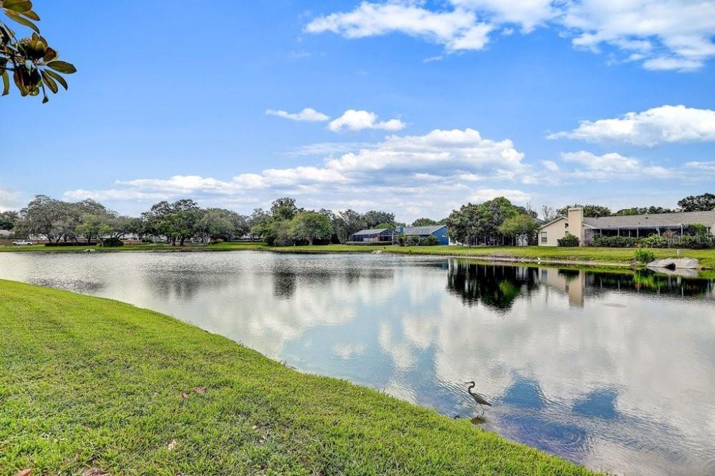 2828 Woodrose Court , Holiday, FL 34691 Photo