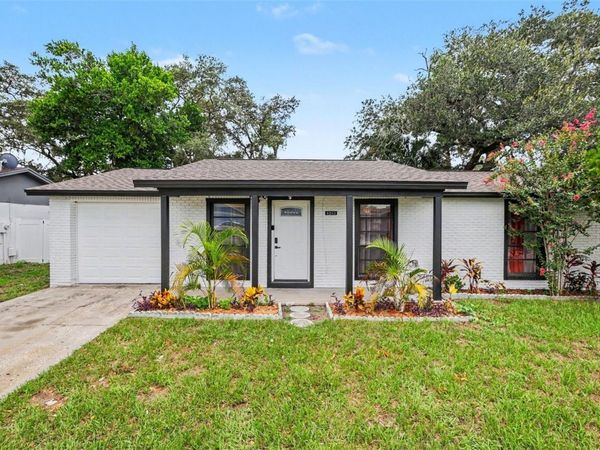 8253 GREENLEAF CIRCLE , TAMPA, FL 33615