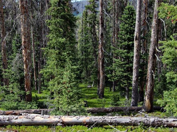 000 Schlueter Road , Fort Garland, CO 81133