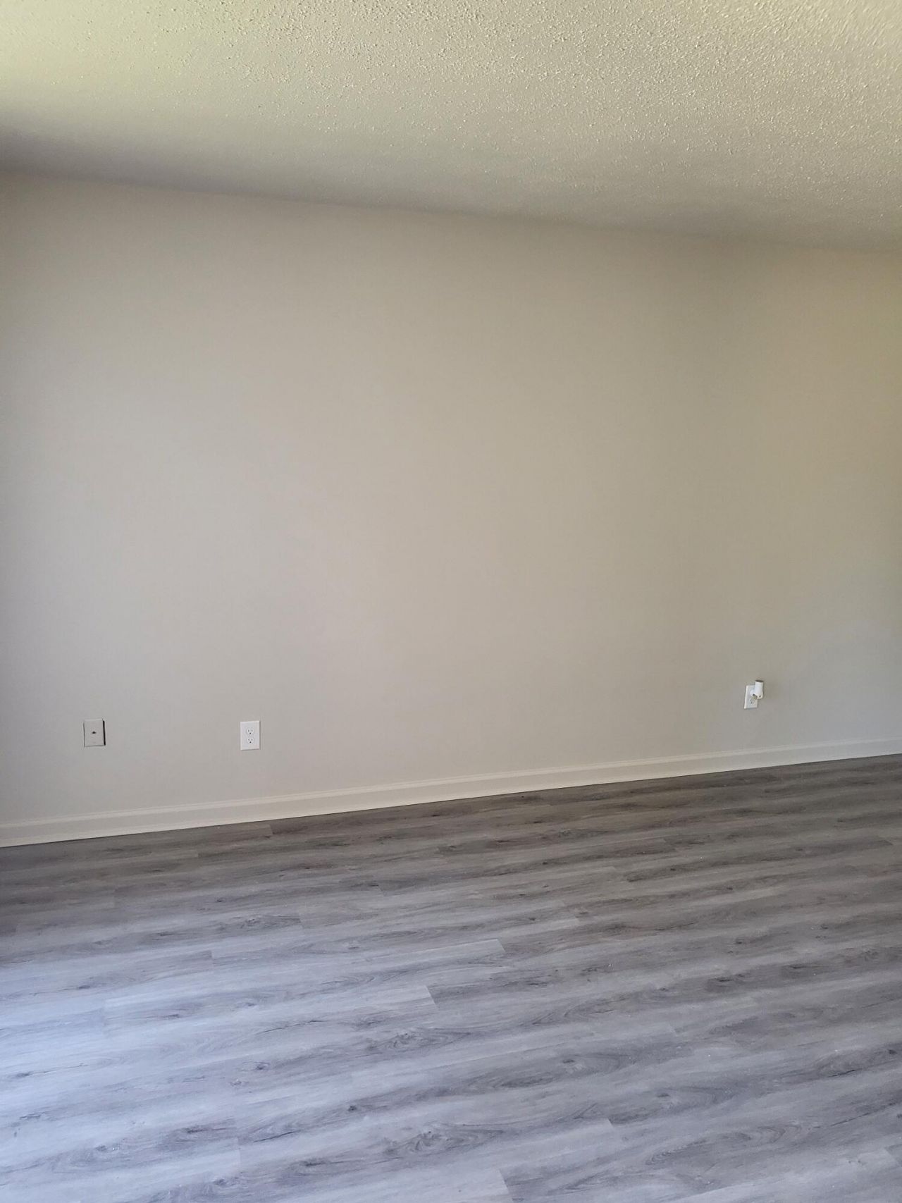 126 Langley Drive Photo 4