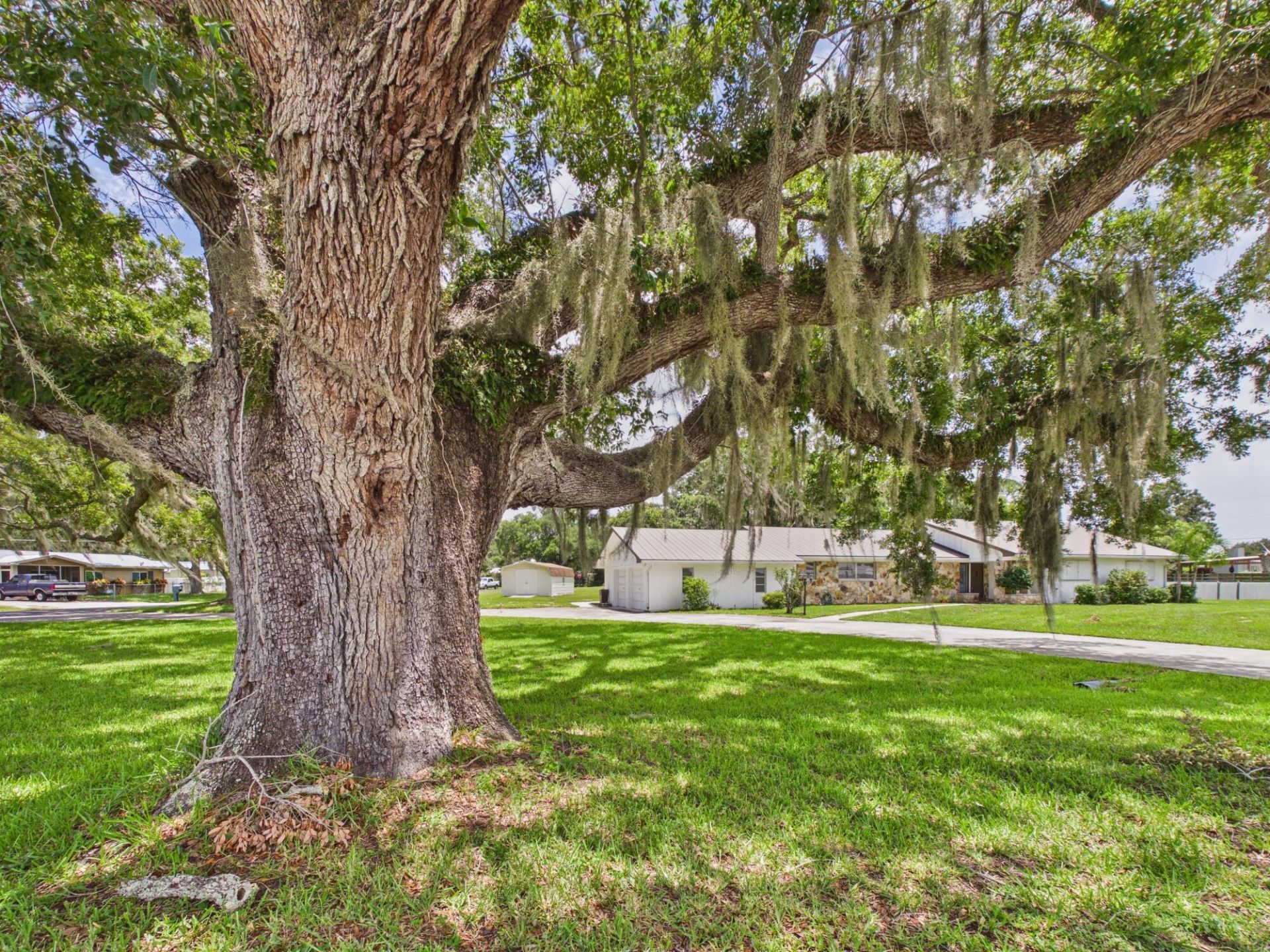 1501 SE 8th Drive, Okeechobee, FL 34974 Photo