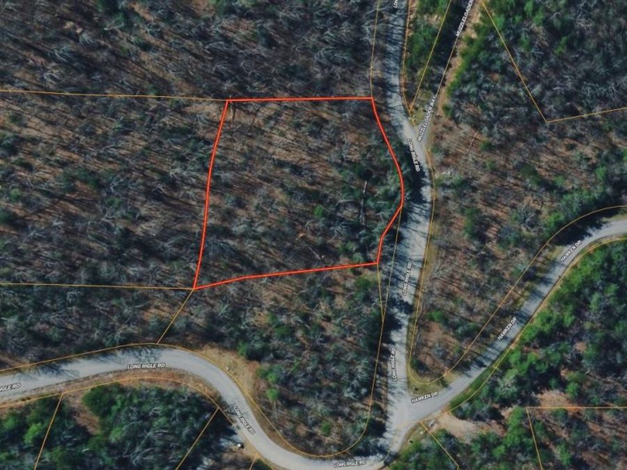 Property Image 4