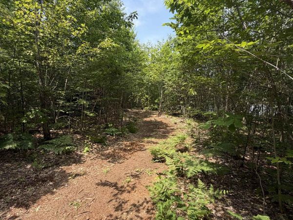 Map 206 Lot 28 Whittier Road, Tamworth, NH 03890