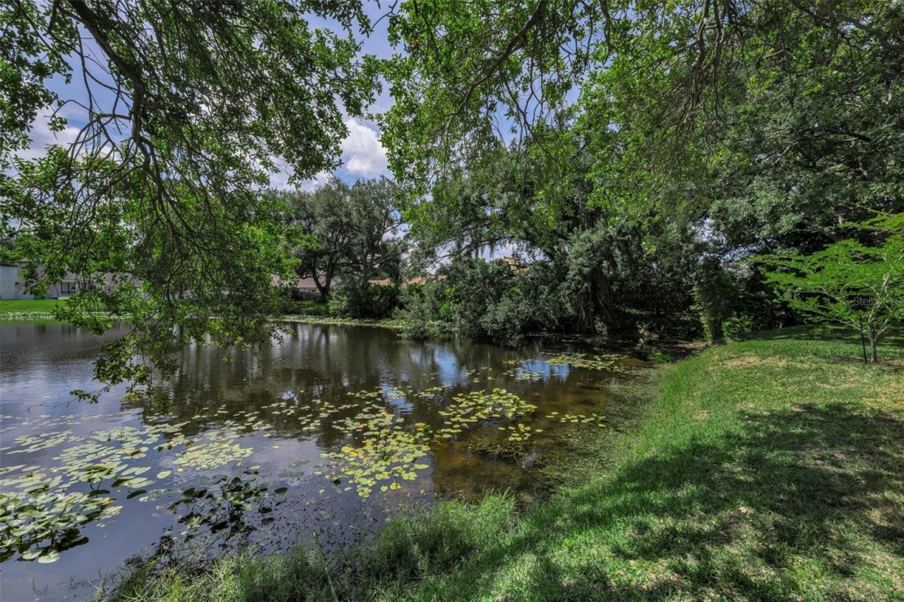 10497 Longwood Drive, Seminole, FL 33777 Photo