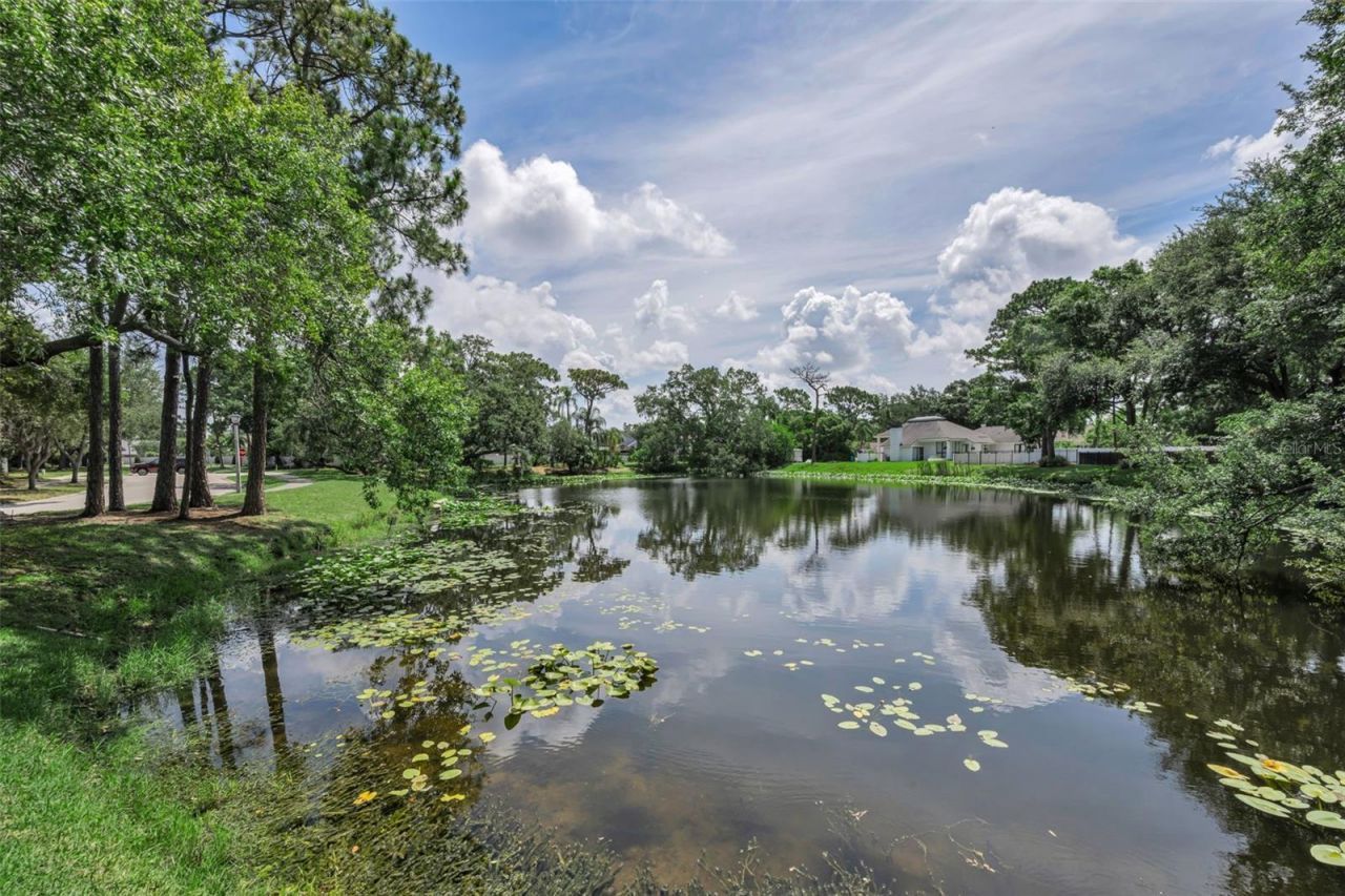10497 Longwood Drive, Seminole, FL 33777 Photo