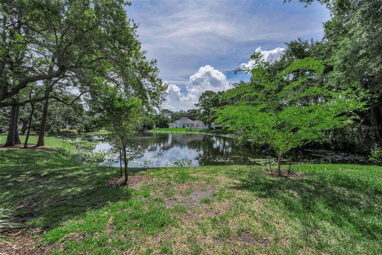 10497 Longwood Drive, Seminole, FL 33777 Photo