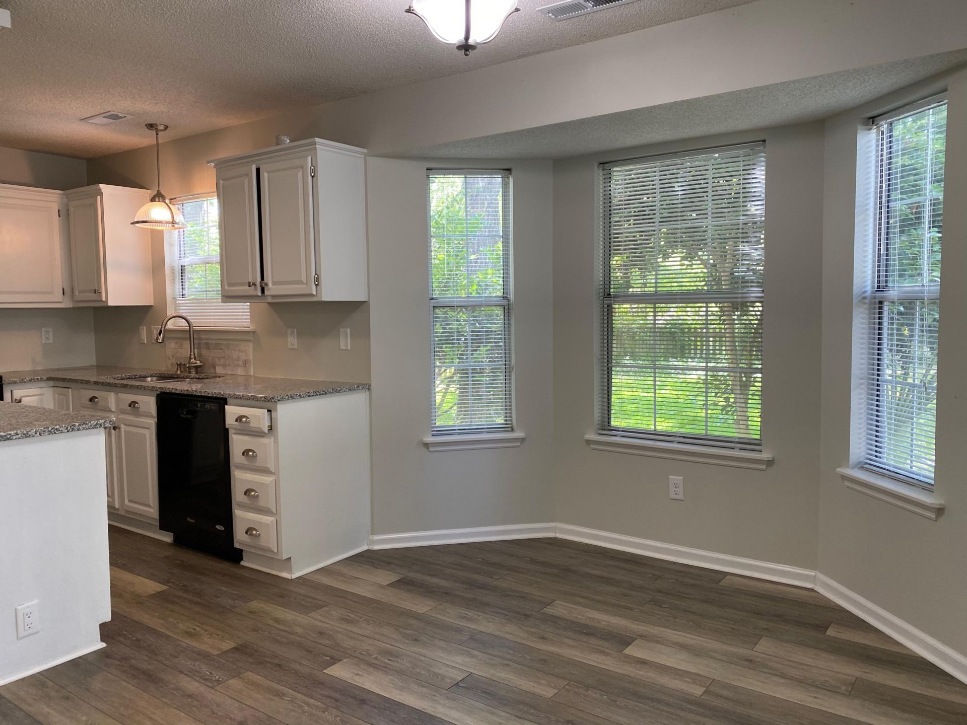 1287 Horseshoe Bend Photo 10