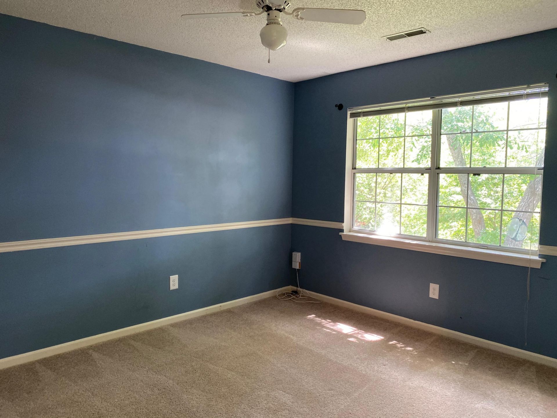 1287 Horseshoe Bend Photo 14