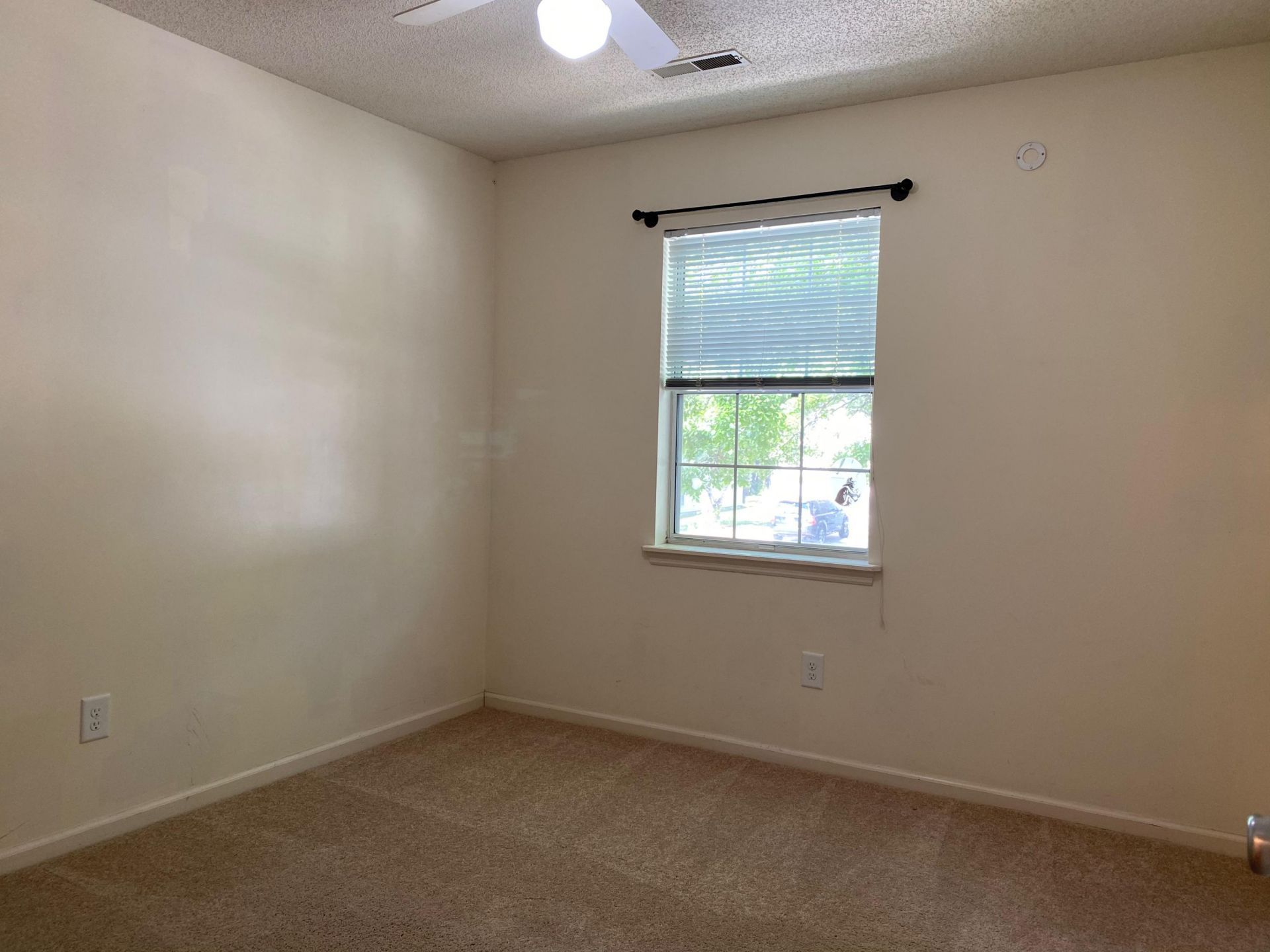 1287 Horseshoe Bend Photo 15