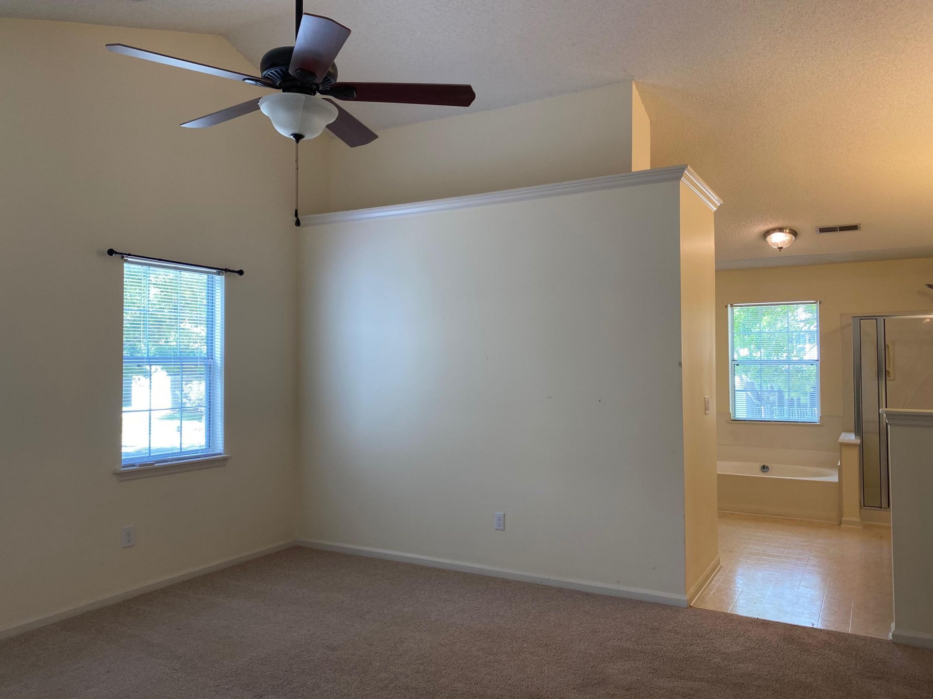 1287 Horseshoe Bend Photo 18