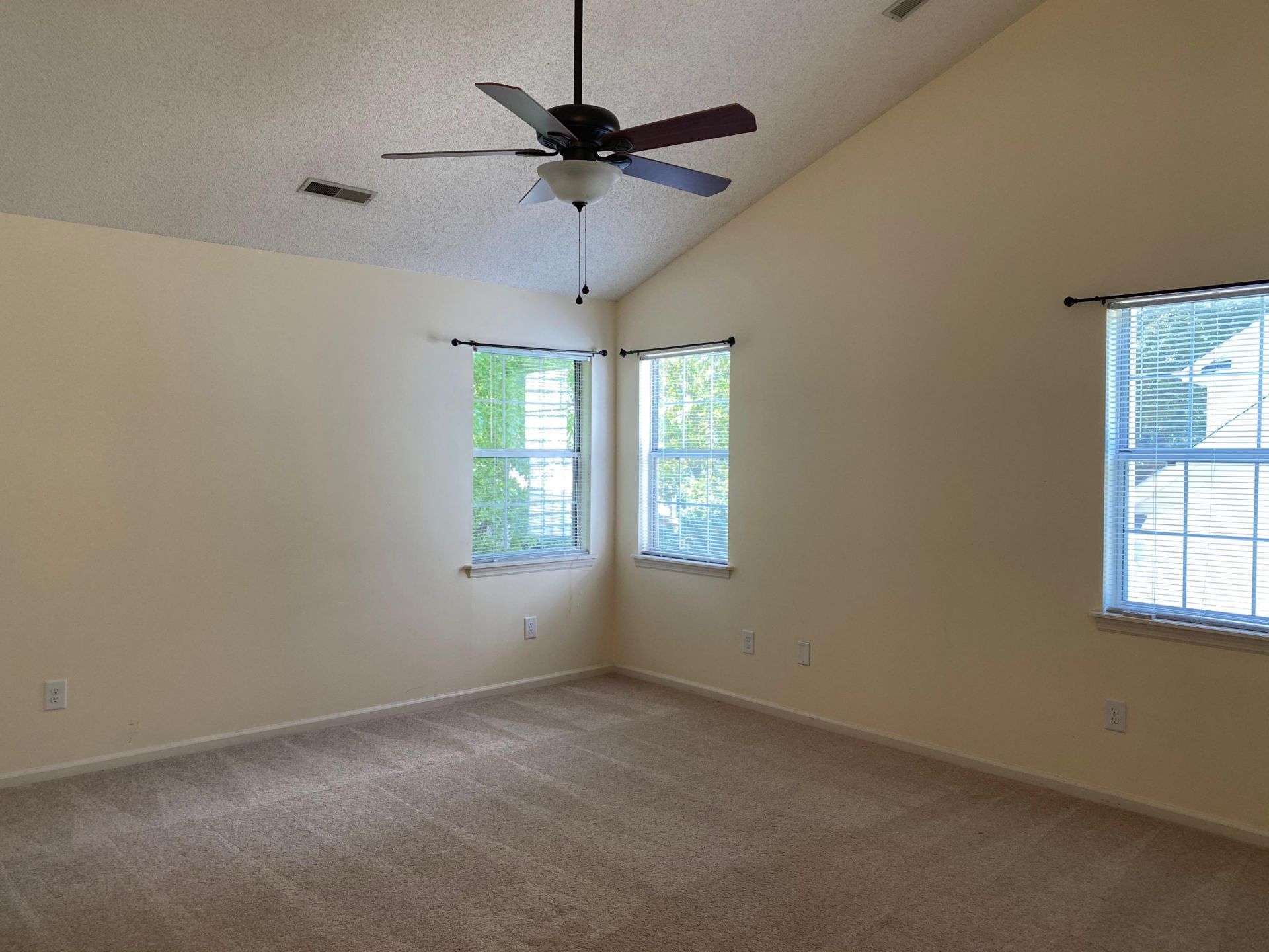 1287 Horseshoe Bend Photo 19