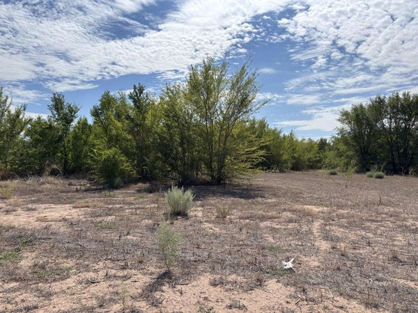 Darla (Tract 2) Drive, Los Lunas, NM 87031
