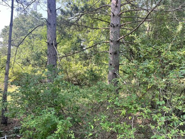 Lot 16 S Czech Court, Friendship, WI 53934