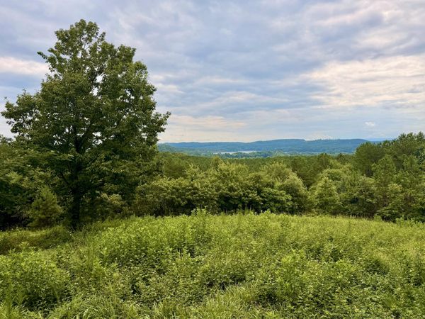 847 Eads Bluff Road, Georgetown, TN 37336