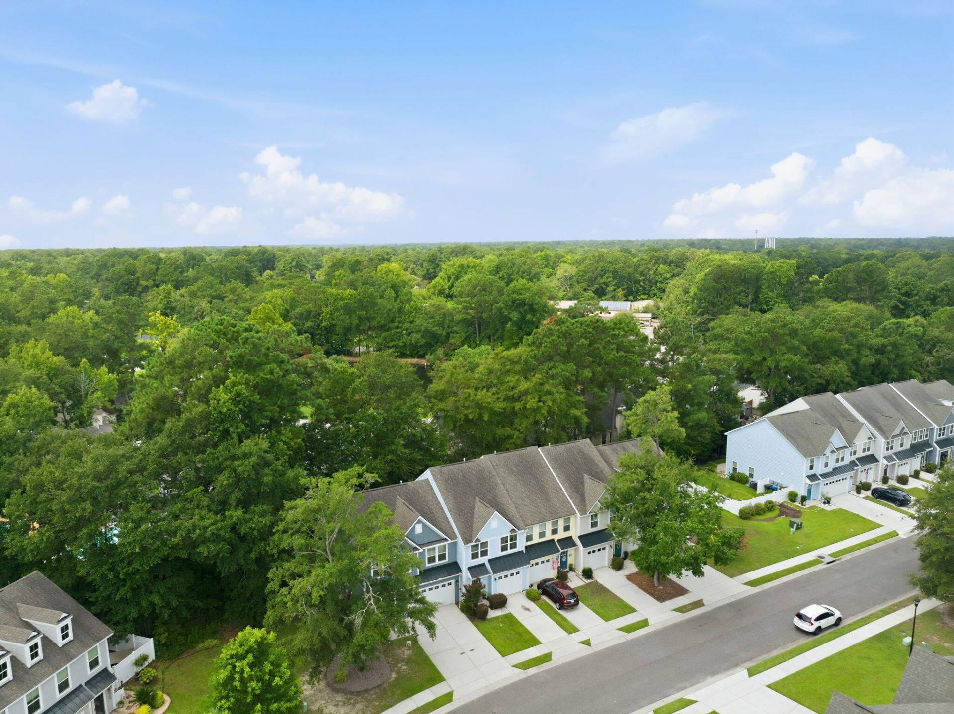 209 Grand Palm Lane Photo 46