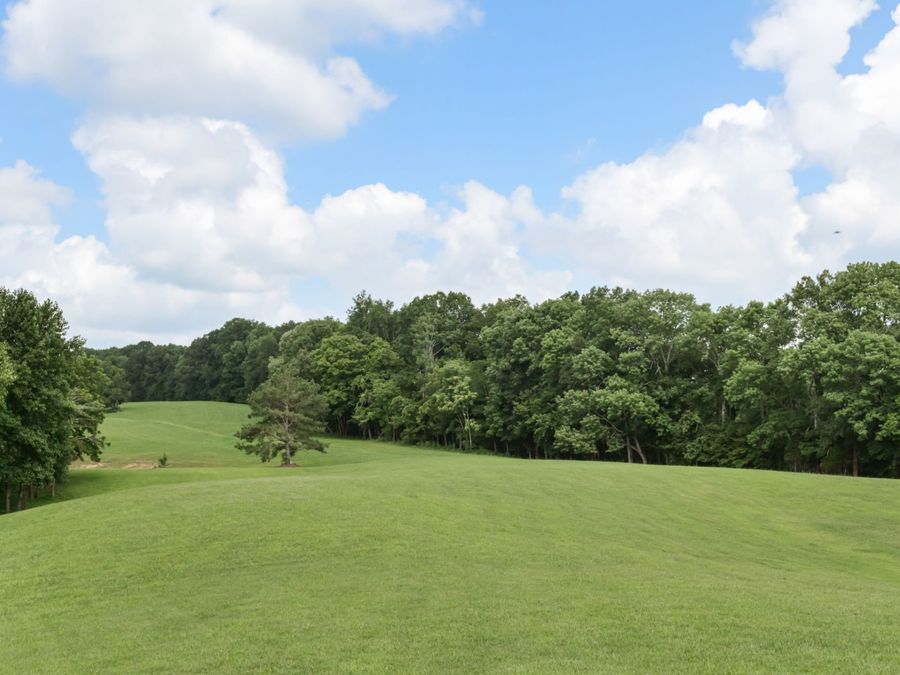 Property Image 61