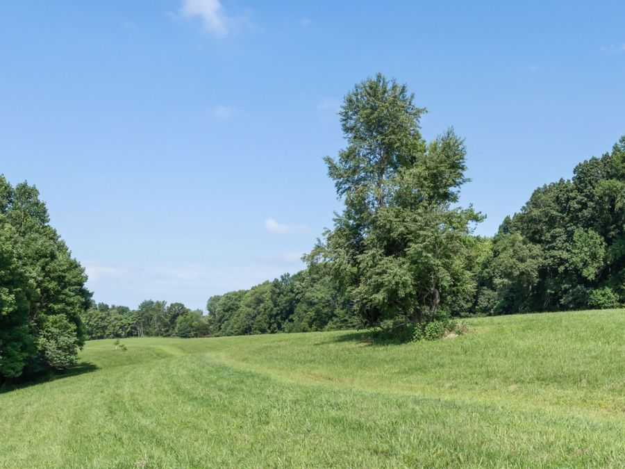 Property Image 69