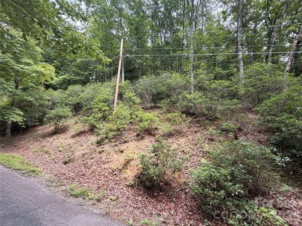 99999 Harrison Hill Road , Swannanoa, NC 28778