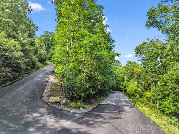 99999 Harrison Hill Road, Swannanoa, NC 28778