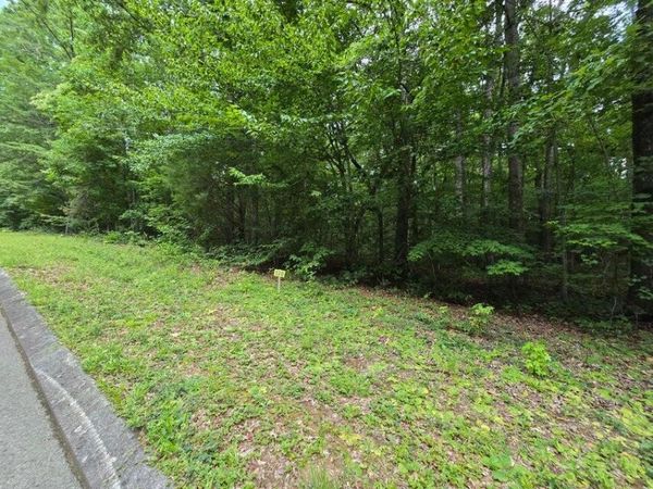 Lot 138 Lower Brow Road , Dunlap, TN 37327