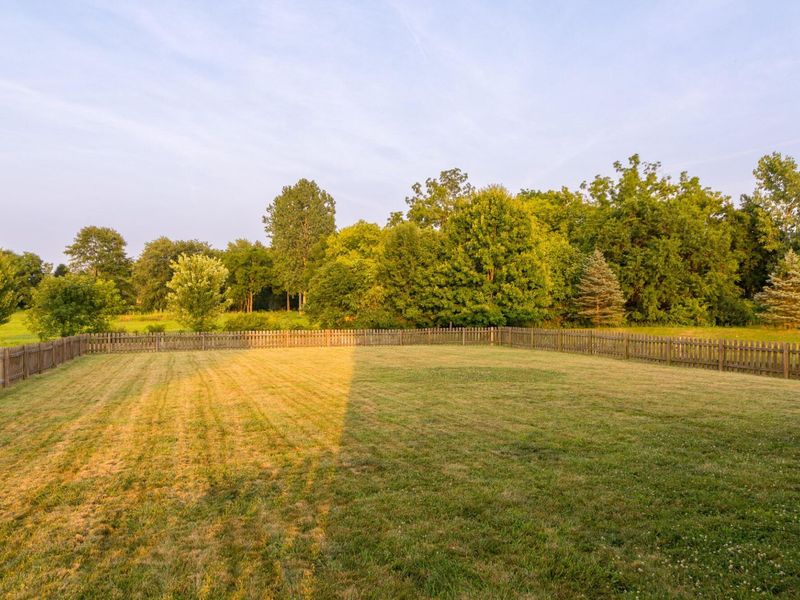 168 Spring Flower Way , Pataskala, OH 43062 Photo 7