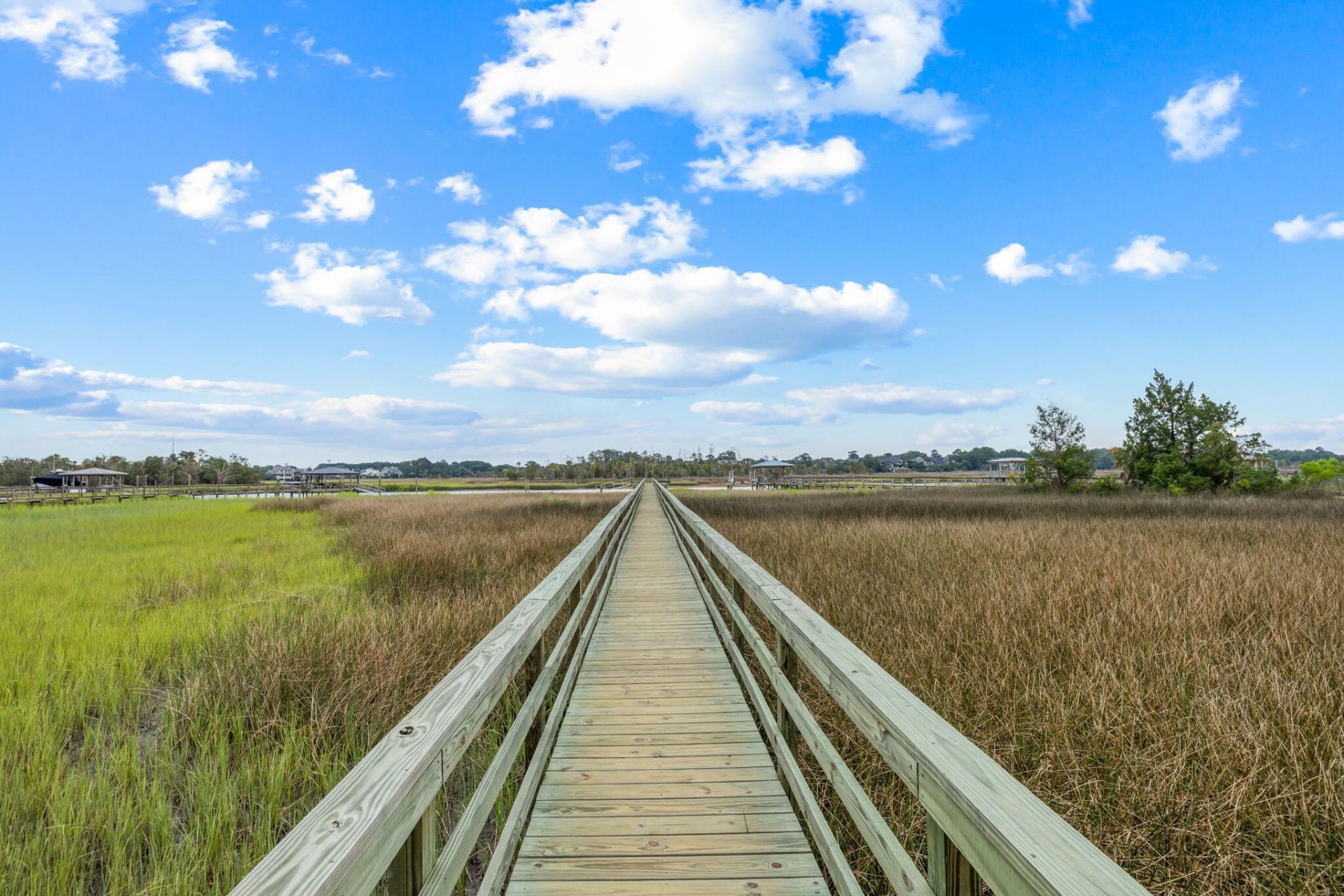 1298 Blue Sky Lane Photo 44